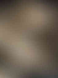 Flores gigantes de papel para vitrine de perfumes