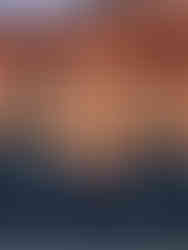 vitrine com cacho de flores gigantes para loja de departamentos