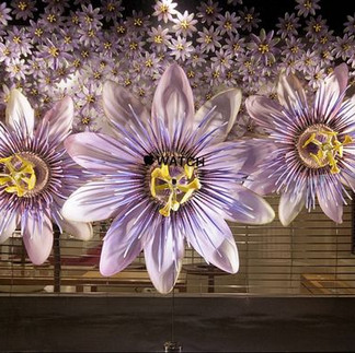 Flores gigantes de maracujá na vitrine da Apple