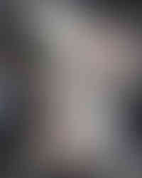 Flores gigantes com muitas pétalas em vitrine para perfume e cosméticos