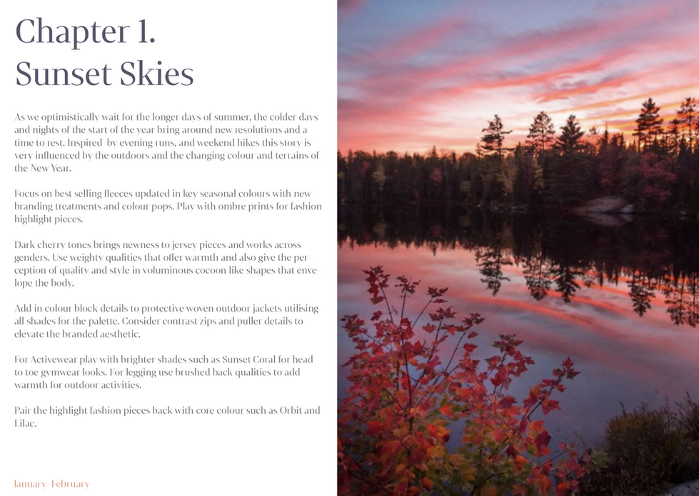 Screenshot 2026-02-11 at 11.20.08 AM