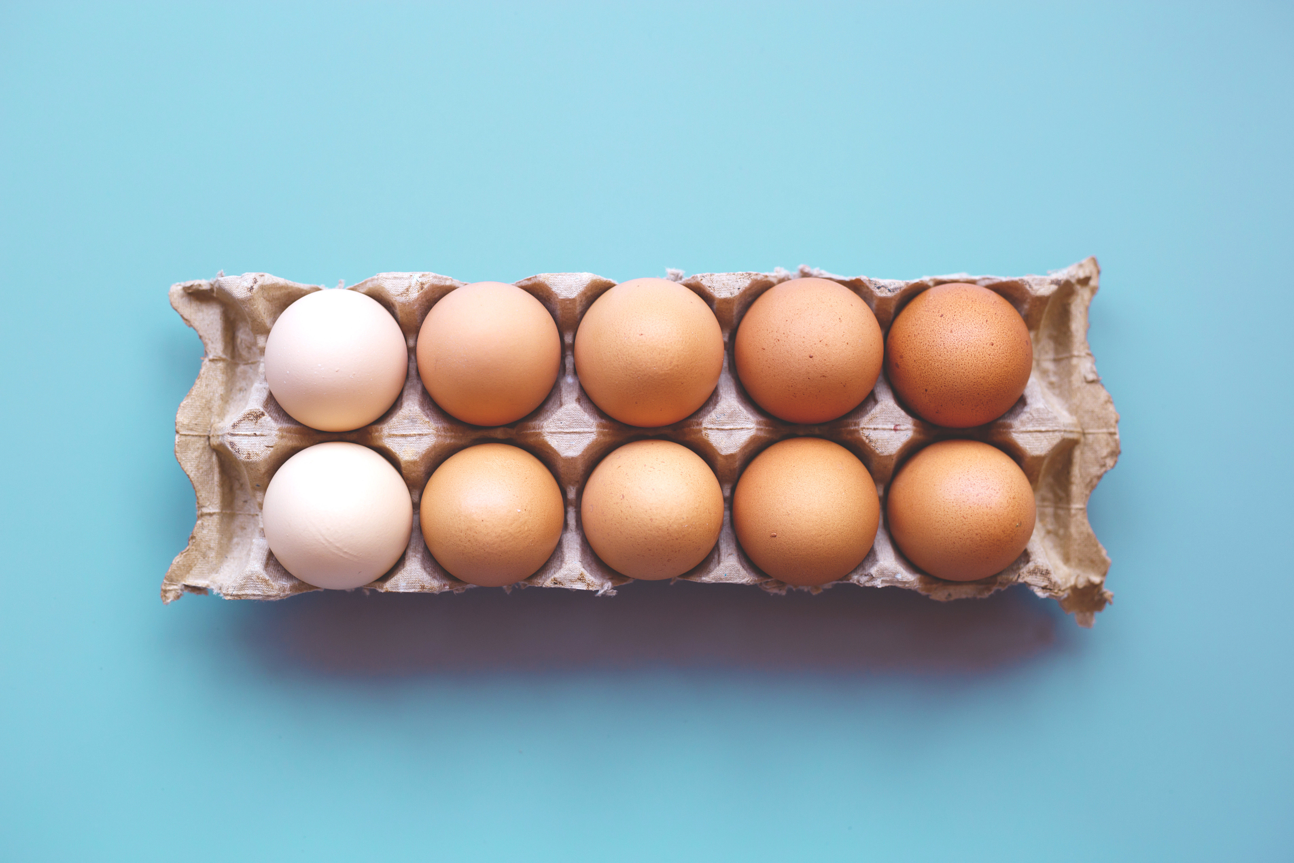 10 Adet Organik Yumurta