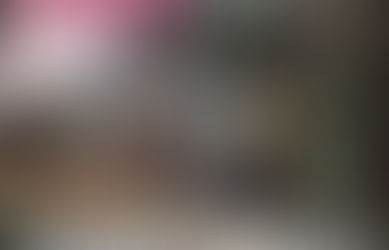 Top 8 Things to do in Charleston, SC