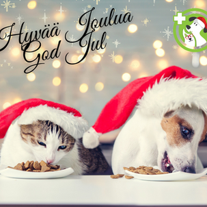 CHRISTMAS opening hours