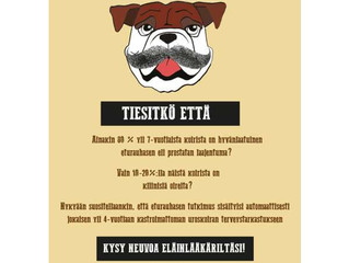 Movember - kampanja