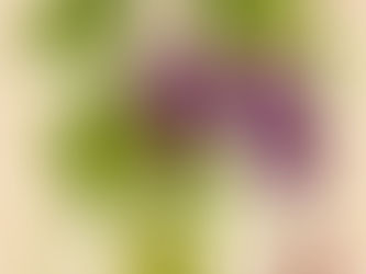 Jesus for Every Part of Life