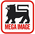 Mega_Image_Logo.webp