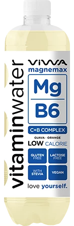 ViwaMagnemax.webp