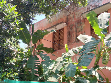 Les escales sylvestres - La dame du bananier