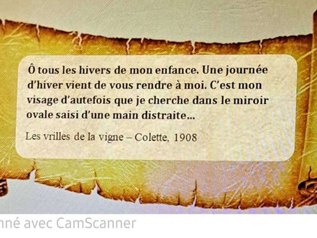 Les infos du Salon et des Malles, Janvier 2025