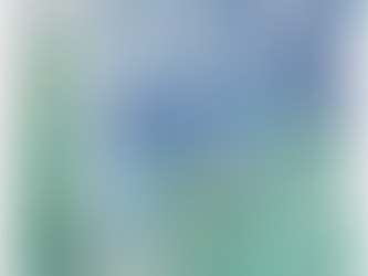 L'aventure de l'iris