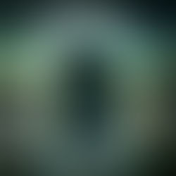 W.A.Mozart et l'envol du concerto n°23 en la majeur