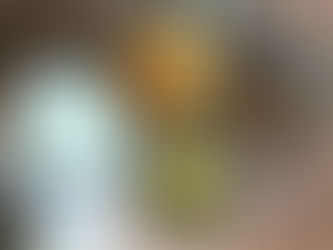 Les gamelles des comptoirs - 40 jours de gestation