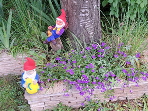 Mes nains de jardin, Sir Alex et Sir John