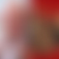 Duvidha, un conte au pays des rois