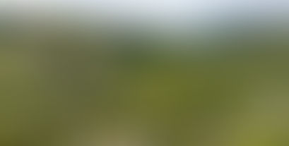 Là-haut, sur la montagne