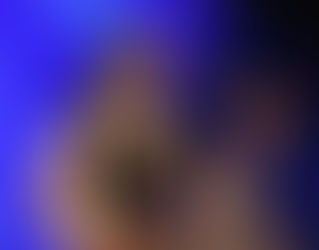 Le Condor ou les portes du temps