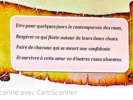 Les Infos du Salon et des Malles - Août 2025