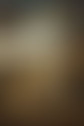 Pyrame et Thisbé, Roméo et Juliette , Vincent et Mireille, Paul et Virginie