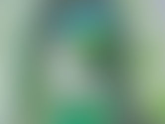 La page de Babeth Louisa - Le ravin des Arcs