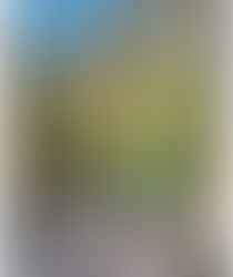 L'arbre de vie, le platane