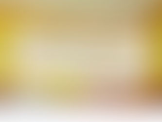 Les infos du salon et des malles, Février 2025