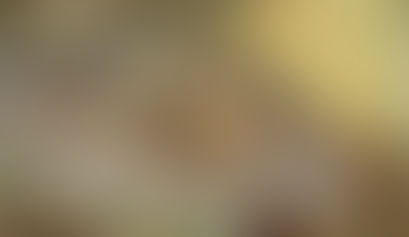 Le chemin du bout du monde