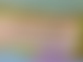 Les Infos du Salon et des Malles - Juillet 2025