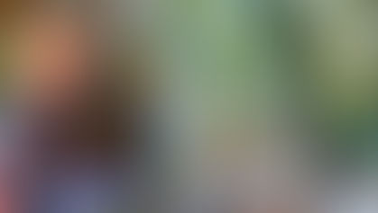 Cathy Cavalier ou les couleurs de l'Aubrac