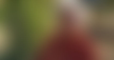 Maria Rosa Fiscal sorprende uno de los retratos del arte literario en Durango