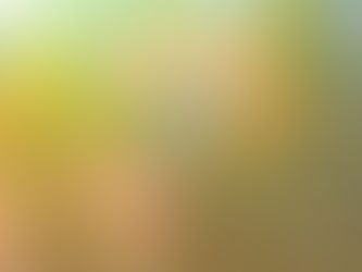 ART DEPARTMENT ULTRA 2017: