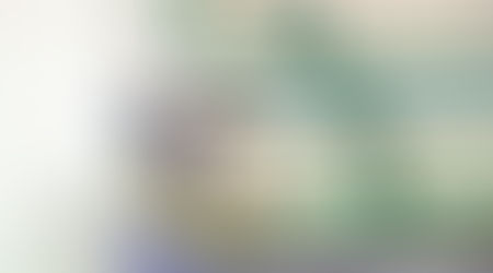 ¿Cómo es la Educación en México?