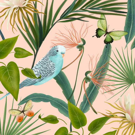 Botany.jpg