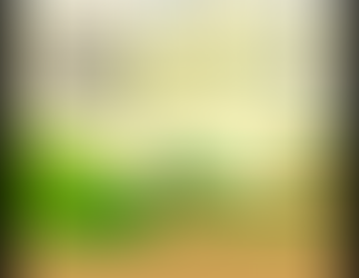 Comment créer une intelligence artificielle capable de finir le mythique Super Mario Bros (1985) ?