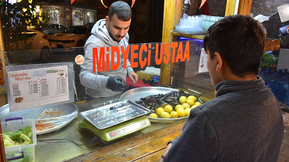 Irakta Midye Dolmaya ilgi