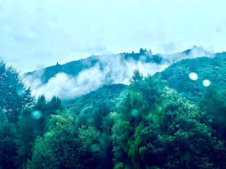 overwhelm can seem like a fog on life