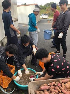 芋掘り_191201_0037.jpg