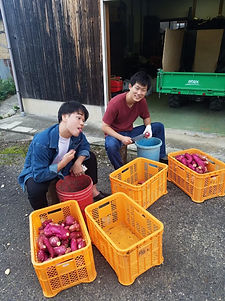 芋掘り_191201_0008.jpg