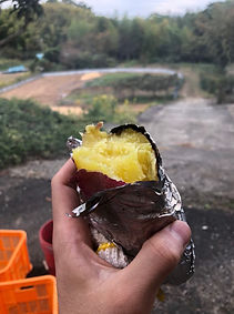 芋掘り_191201_0039.jpg