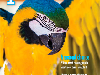 Second Chance Featured in Sacramento Pets Magazine