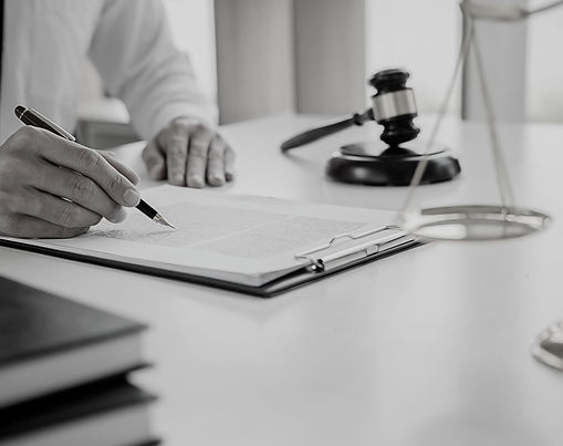 Rainforest Action Initiative