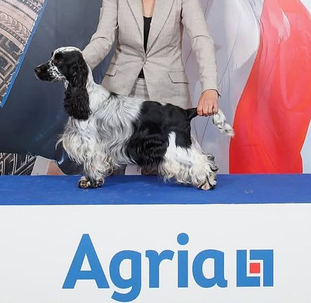 505359402_1196118228980049_7453998814781621884_n 22.jpg