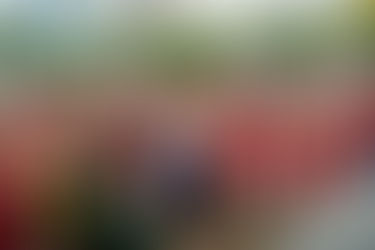 Celebrating Unity and Growth: A Journey of Peace and Prosperity at the SG60 Walk