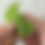 Thumbnail: Christmas Pickle Pattern