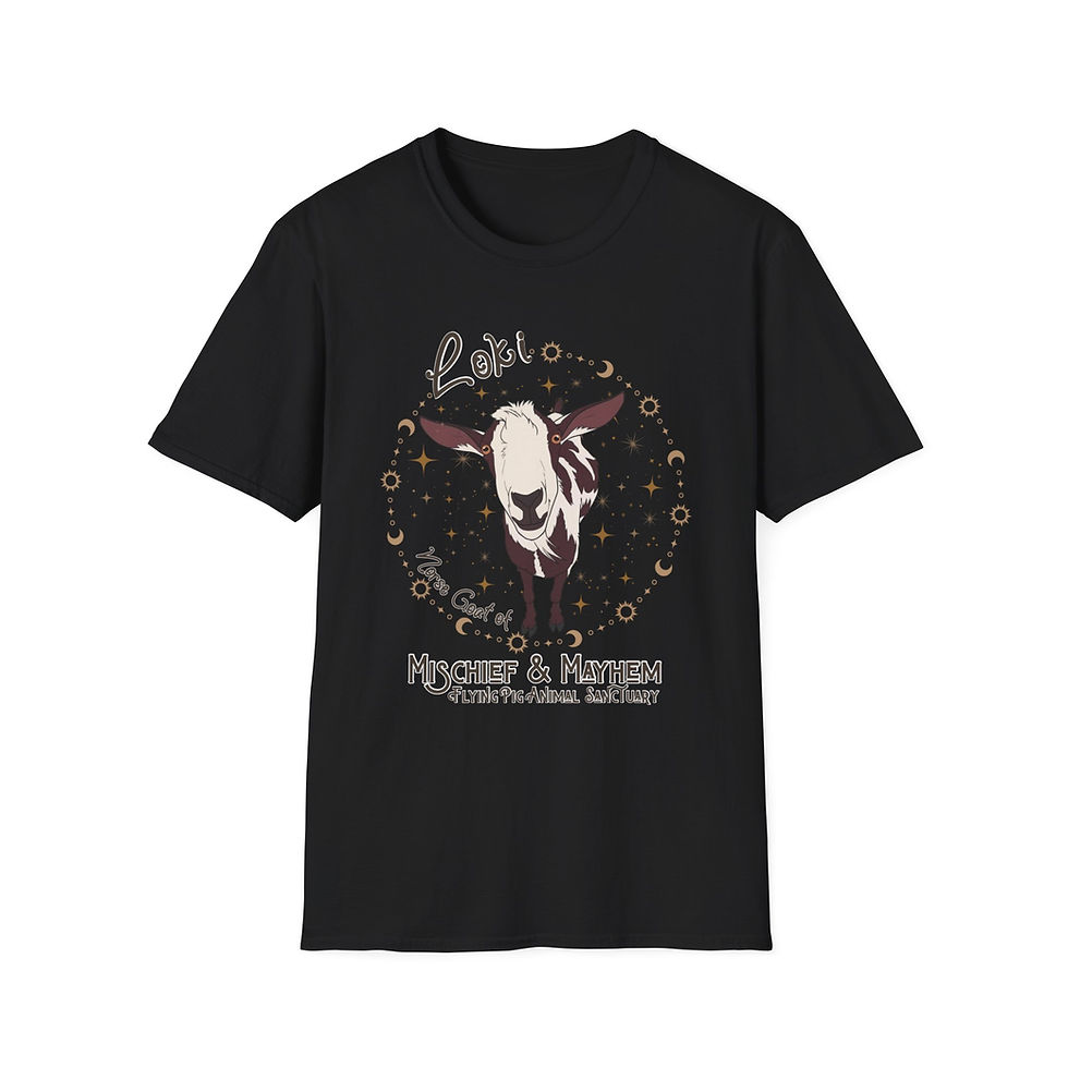 Thumbnail: Loki Mischief & Mayhem | Unisex Softstyle Tee