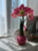 IMG_1324.jpeg