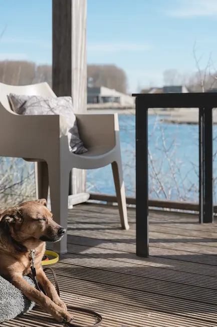 terrasse ferienhaus wasser ruhe natur design niederlande außenbereich