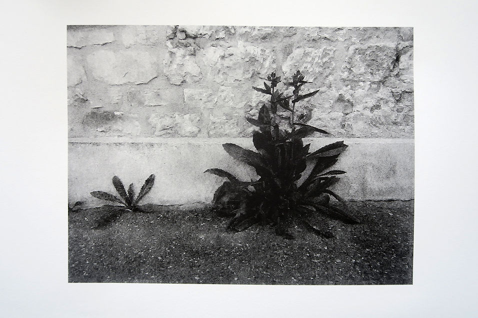 sonia martins mateus lithographie sur pierre estampes
