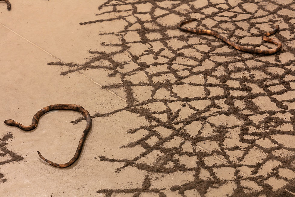 Sonia Martins Mateus, Territory, Caen