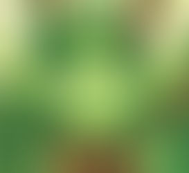 uma menina verde com orelhas pontudas e cabelos de folhas olhando para o lado